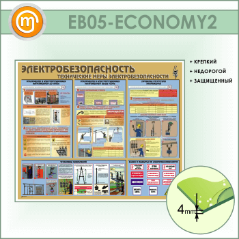  .    (EB-05-ECONOMY2)